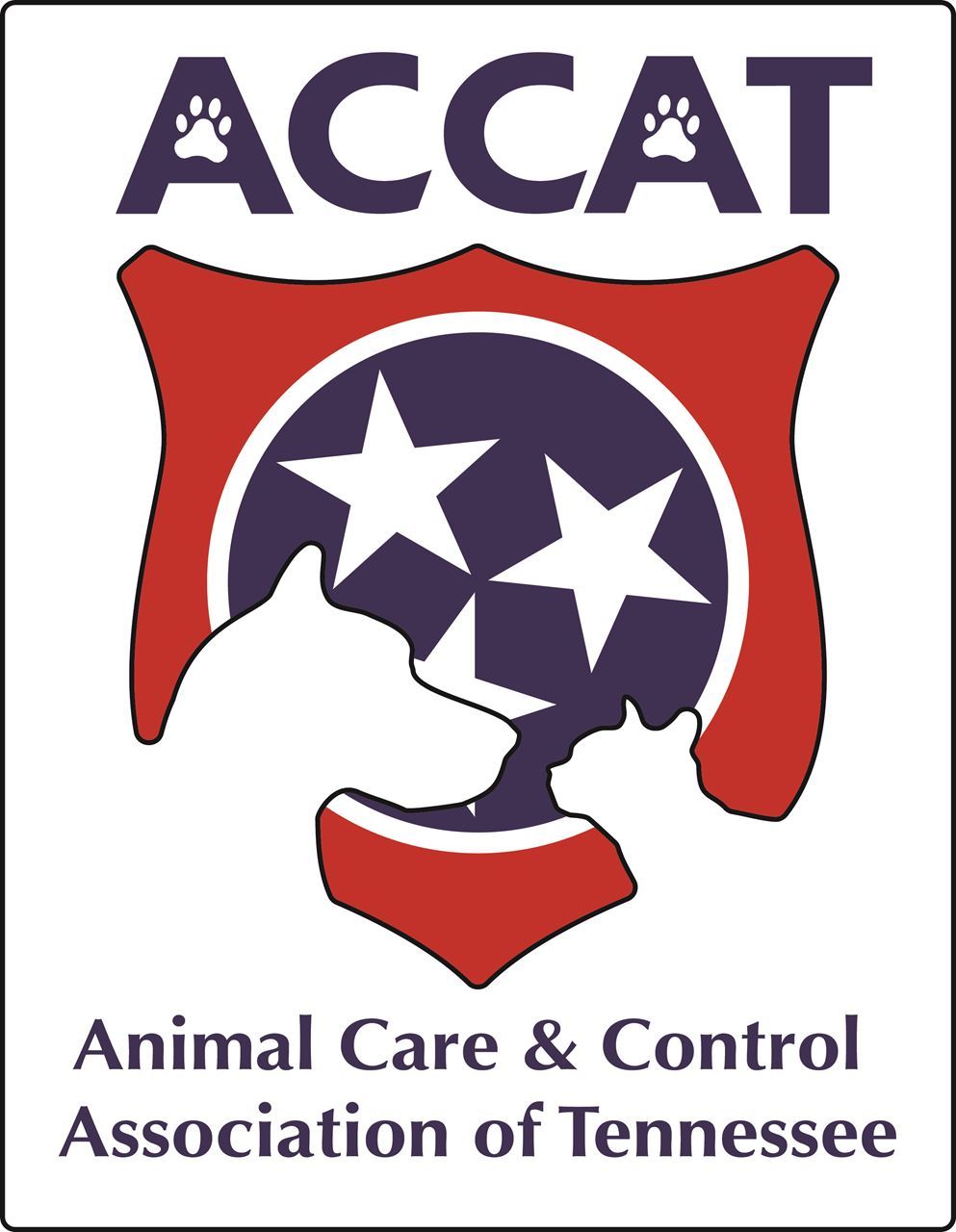 ACCAT - Home